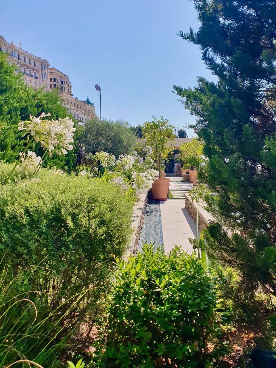 Allée de jardin bordée d'agapanthes blanches et de lavandes, avec fil d'eau en pierre, Monaco