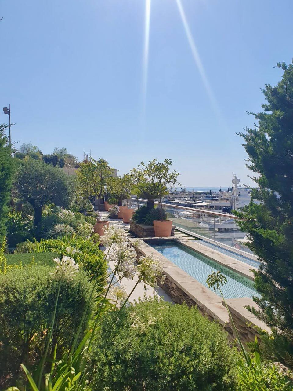 Un nouveau projet prend vie : une oasis sur mesure face au port de Monaco