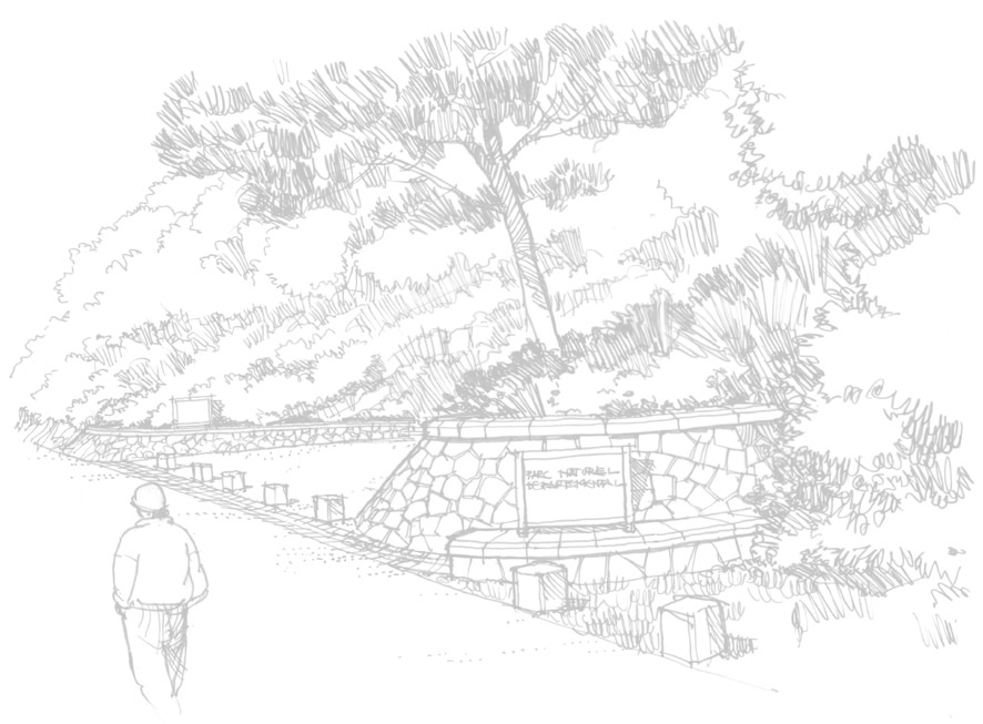Croquis d'aménagement paysager