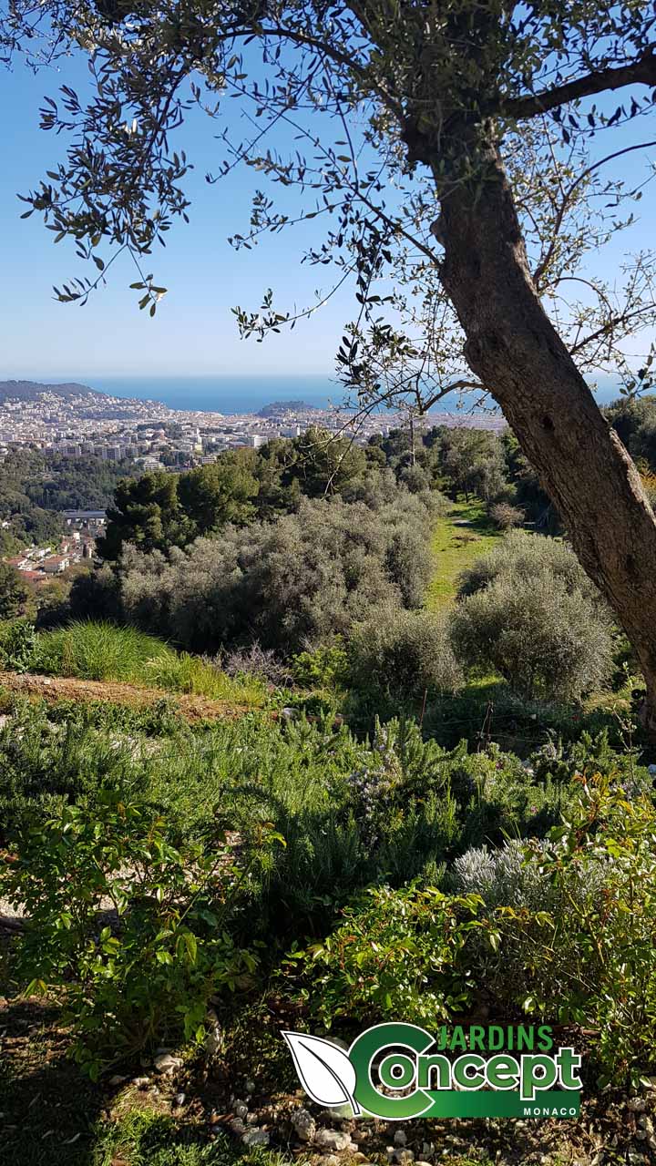Un paysage et une vue à couper le souffle en direction de Nice