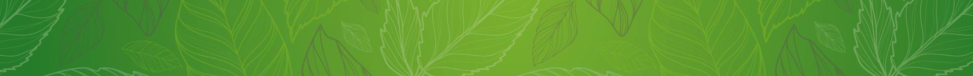 fond-header-jcm